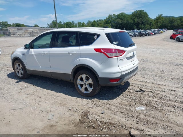 Ford ESCAPE SE 2016 1FMCU0G72GUA95177 Image 3