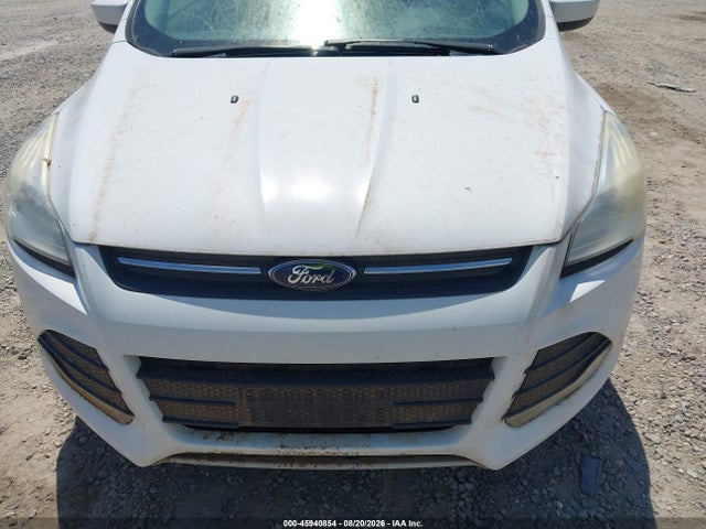 Ford ESCAPE SE 2016 1FMCU0G72GUA95177 Image 6