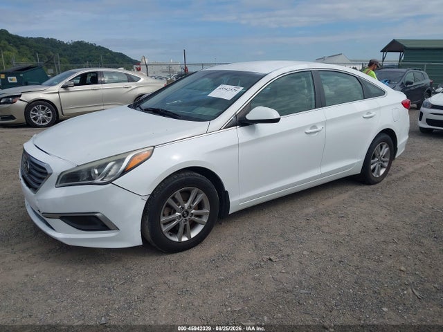Продажа на аукционе авто 2016 Hyundai Sonata Se, vin: 5NPE24AF5GH436298, номер лота: 45942329