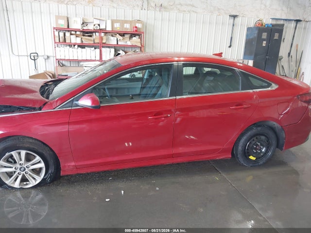 5NPE24AF7KH787786 Hyundai SONATA SE