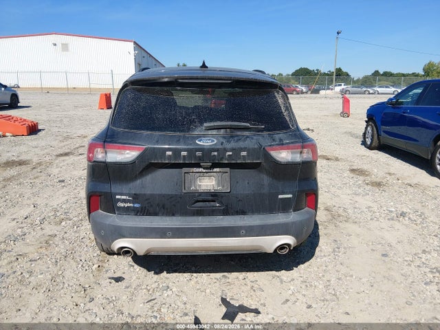 2020 Ford Escape Sel მანქანა იყიდება აუქციონზე, vin: 1FMCU0H67LUA24461, აუქციონის ნომერი: 45943042