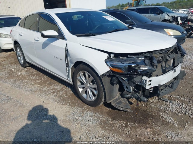 Auction sale of the 2024 Chevrolet Malibu Fwd 1lt, vin: 1G1ZD5ST0RF131710, lot number: 45943169