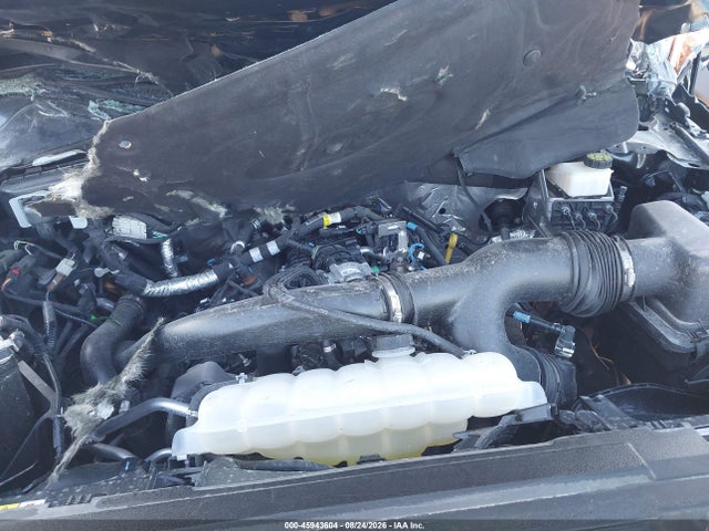 Aukcja sprzedaży 2024 Ford F-150 Xlt, vin: 1FTEW3LP2RKF10477, numer aukcji: 45943604