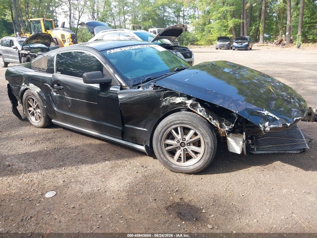 Auction sale of the 2005 Ford Mustang V6 Deluxe/v6 Premium, vin: 1ZVFT80N855239458, lot number: 45943850