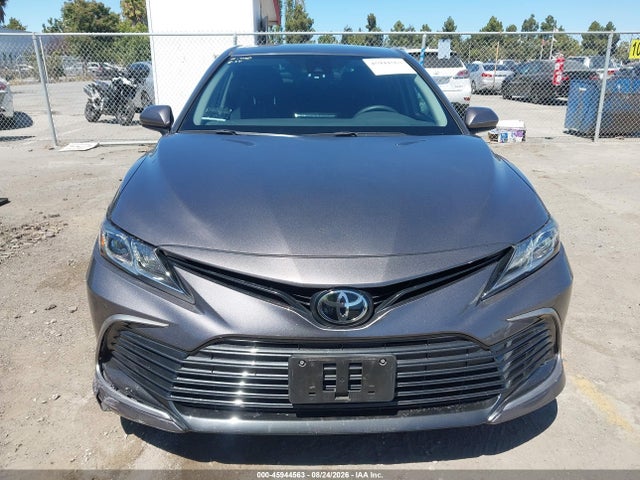 4T1C11AKXMU436770 Toyota CAMRY LE