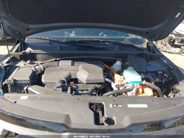 45946872 :رقم المزاد ، KNDPYDDH3T7303638 vin ، 2026 Kia Sportage Plug-in Hybrid X-line مزاد بيع