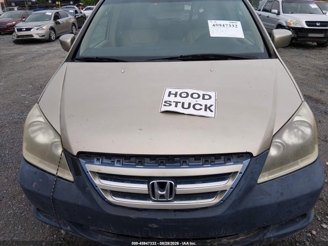 2005 Honda Odyssey Ex-l მანქანა იყიდება აუქციონზე, vin: 5FNRL387X5B113335, აუქციონის ნომერი: 45947332