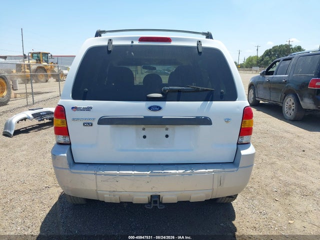 Продажа на аукционе авто 2007 Ford Escape Xlt/xlt Sport, vin: 1FMYU03107KB43388, номер лота: 45947531