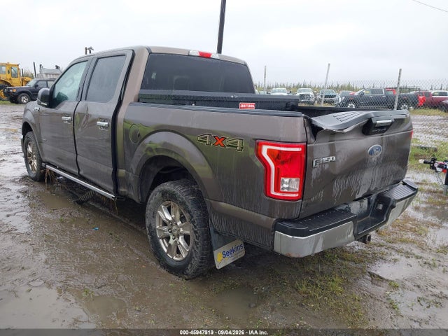 Ford F-150 Xlt 2015 1FTEW1EP2FFD09300 Image 3