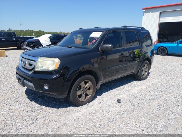 Продаж на аукціоні авто 2009 Honda Pilot Ex-l, vin: 5FNYF38649B005129, номер лоту: 45948062