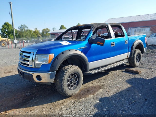45948278 :رقم المزاد ، 1FTPW14V09FA23720 vin ، 2009 Ford F-150 Fx4/king Ranch/lariat/platinum/xl/xlt مزاد بيع