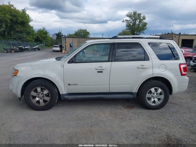 Продажа на аукционе авто 2009 Ford Escape Hybrid Limited, vin: 1FMCU59389KB77081, номер лота: 45948949