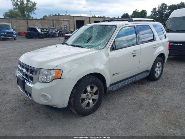Продажа на аукционе авто 2009 Ford Escape Hybrid Limited, vin: 1FMCU59389KB77081, номер лота: 45948949