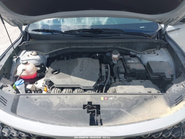 Aukcja sprzedaży 2023 Kia Sorento X-line S, vin: 5XYRLDLC1PG203530, numer aukcji: 45949705