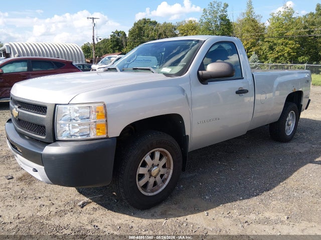 Продажа на аукционе авто 2011 Chevrolet Silverado 1500 Work Truck, vin: 1GCNKPEA8BZ200259, номер лота: 45951340