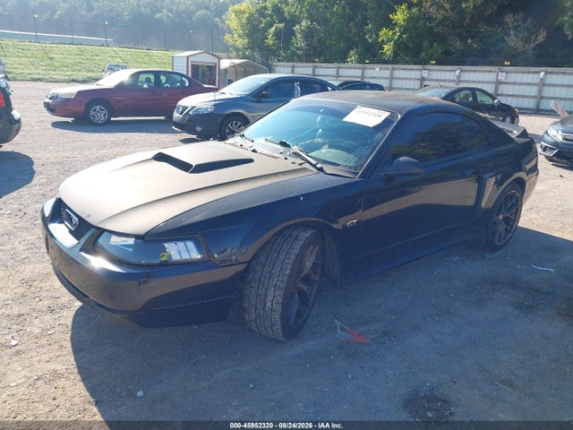 Продажа на аукционе авто 2002 Ford Mustang Gt, vin: 1FAFP42X42F132840, номер лота: 45952320