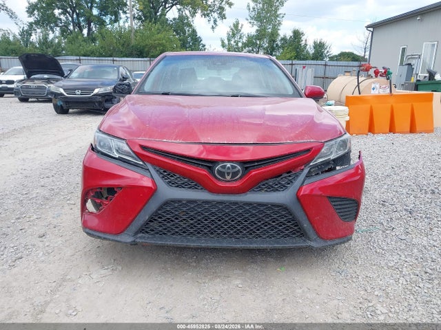 Продаж на аукціоні авто 2019 Toyota Camry Se, vin: 4T1B11HK1KU281234, номер лоту: 45952825