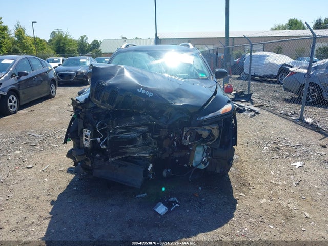 Aukcja sprzedaży 2017 Jeep Cherokee Limited, vin: 1C4PJMDS9HW532175, numer aukcji: 45953076