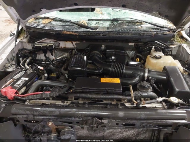 Aukcja sprzedaży 2010 Ford F-150 Fx4/lariat/xl/xlt, vin: 1FTFX1EVXAFA16382, numer aukcji: 45953136