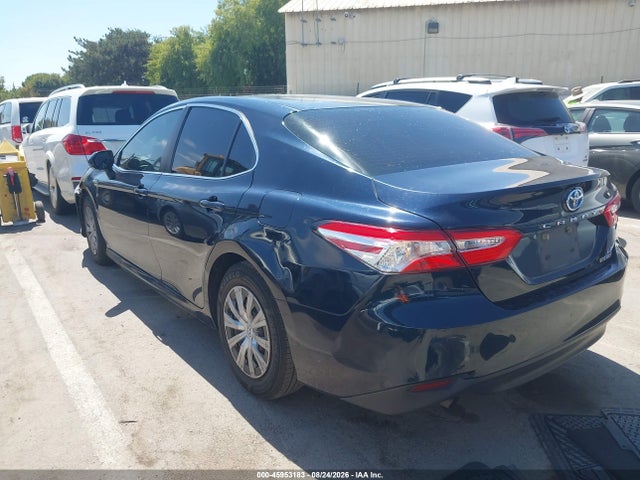 4T1B31HKXJU507795 Toyota Camry Hybrid Le