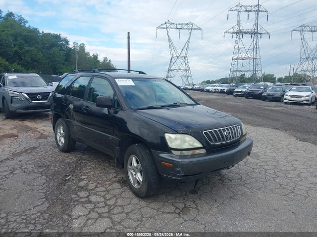 2002 Lexus Rx 300 მანქანა იყიდება აუქციონზე, vin: JTJHF10U620245976, აუქციონის ნომერი: 45953225