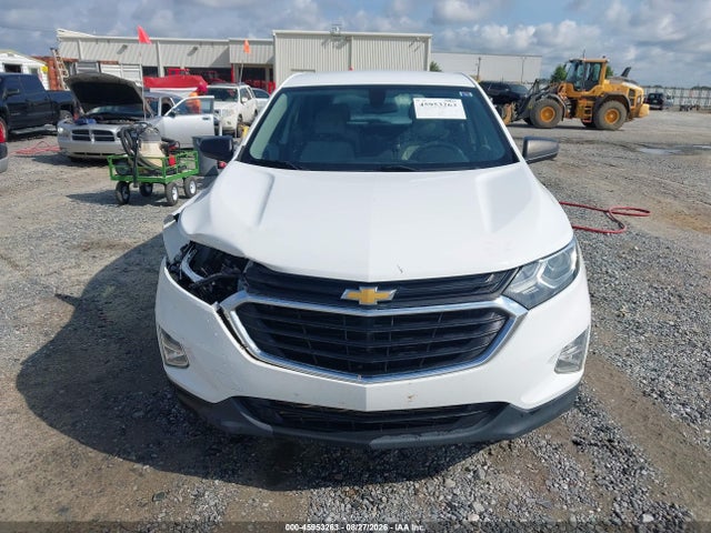 Auction sale of the 2019 Chevrolet Equinox Ls, vin: 2GNAXHEV1K6169111, lot number: 45953263