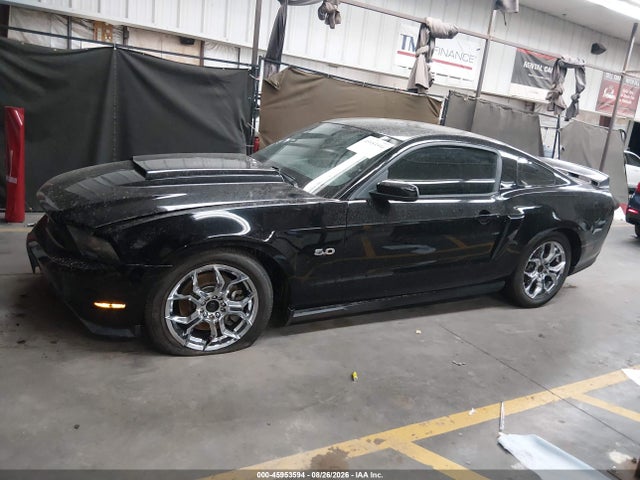 Продажа на аукционе авто 2011 Ford Mustang Gt Premium, vin: 1ZVBP8CF8B5169835, номер лота: 45953594
