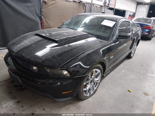 Продажа на аукционе авто 2011 Ford Mustang Gt Premium, vin: 1ZVBP8CF8B5169835, номер лота: 45953594