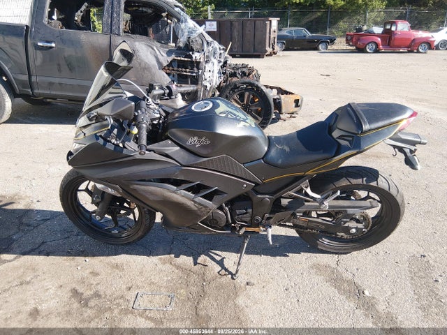 Kawasaki Ex300 A 2016 JKAEX8A10GDA26041 Image 12