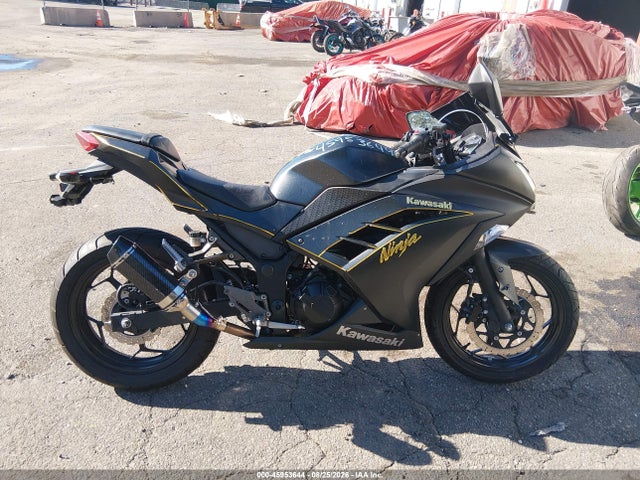 Kawasaki Ex300 A 2016 JKAEX8A10GDA26041 Image 13