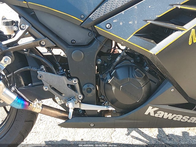 Kawasaki Ex300 A 2016 JKAEX8A10GDA26041 Image 9