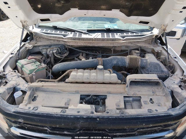 2025 Ford F-150 Xlt მანქანა იყიდება აუქციონზე, vin: 1FTFW3L87SKD19706, აუქციონის ნომერი: 45954407