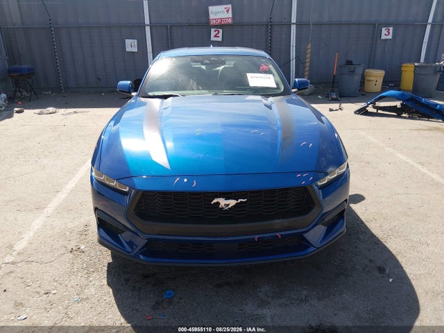 Ford Mustang Ecoboost Fastback 2024 1FA6P8TH3R5136389 Image 13