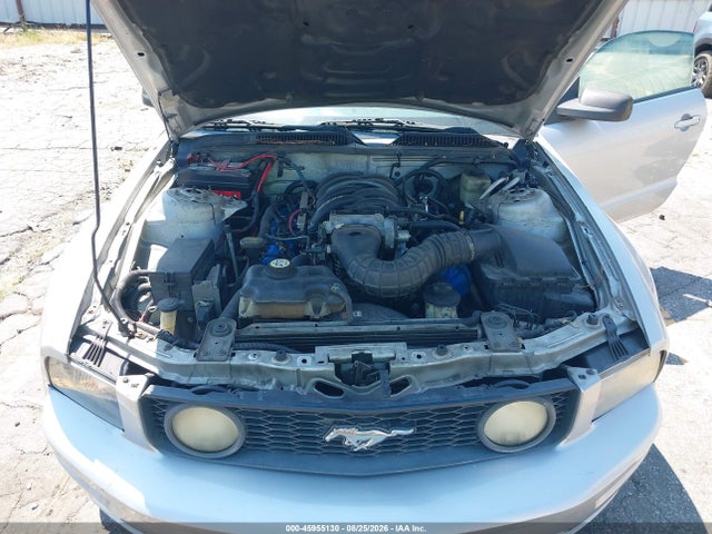 Продаж на аукціоні авто 2006 Ford Mustang Gt, vin: 1ZVFT85H165196862, номер лоту: 45955130