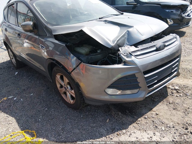 2014 Ford Escape Se მანქანა იყიდება აუქციონზე, vin: 1FMCU0GX4EUD81741, აუქციონის ნომერი: 45955184