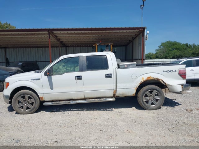 45955216 :رقم المزاد ، 1FTPW14V69FB43439 vin ، 2009 Ford F-150 Xlt مزاد بيع