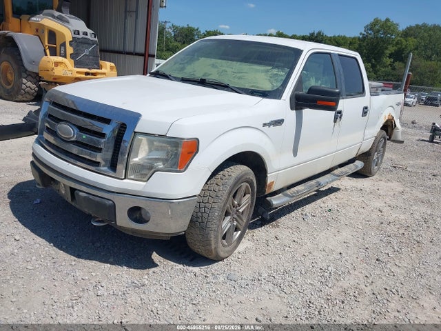 45955216 :رقم المزاد ، 1FTPW14V69FB43439 vin ، 2009 Ford F-150 Xlt مزاد بيع