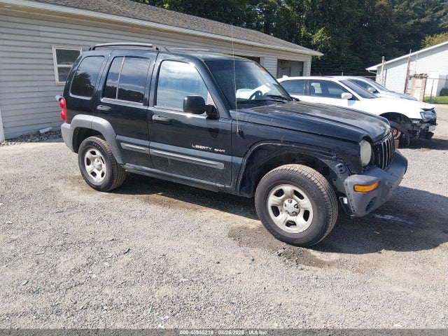 2003 Jeep Liberty Sport მანქანა იყიდება აუქციონზე, vin: 1J4GL48K23W669675, აუქციონის ნომერი: 45955218