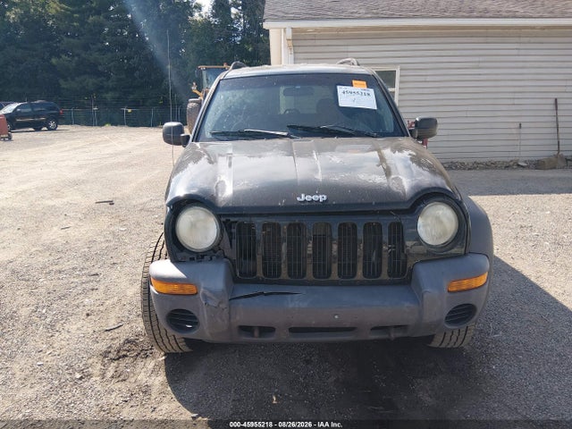 2003 Jeep Liberty Sport მანქანა იყიდება აუქციონზე, vin: 1J4GL48K23W669675, აუქციონის ნომერი: 45955218
