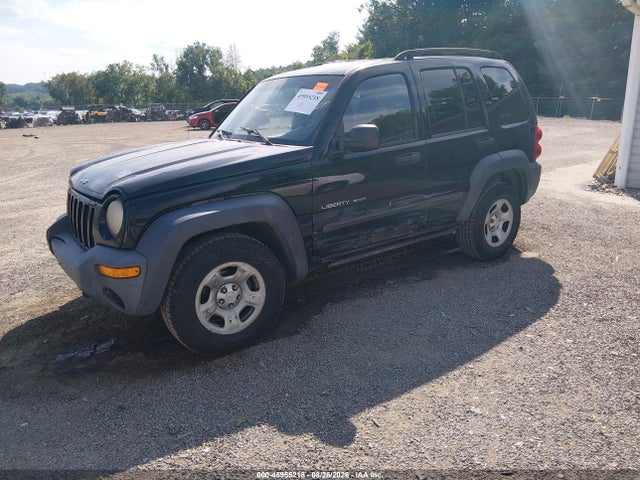 2003 Jeep Liberty Sport მანქანა იყიდება აუქციონზე, vin: 1J4GL48K23W669675, აუქციონის ნომერი: 45955218