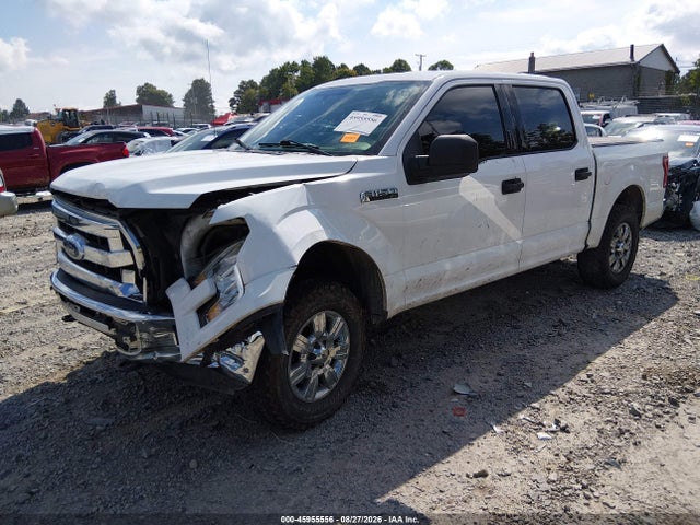 45955556 :رقم المزاد ، 1FTEW1EFXFKD49462 vin ، 2015 Ford F-150 Xlt مزاد بيع