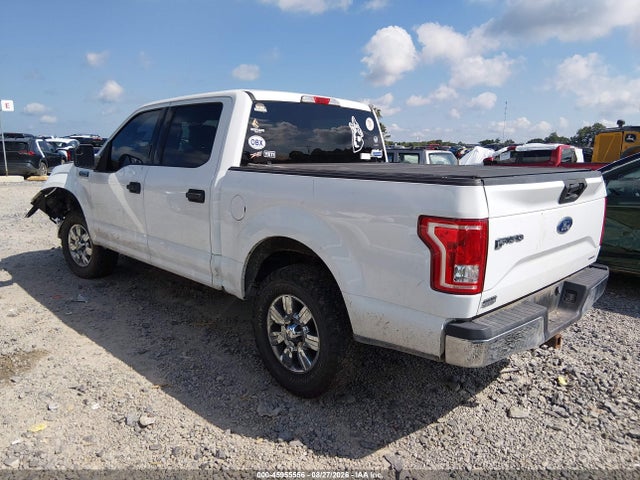 45955556 :رقم المزاد ، 1FTEW1EFXFKD49462 vin ، 2015 Ford F-150 Xlt مزاد بيع