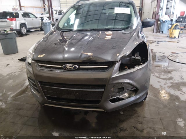 Ford ESCAPE SE 2016 1FMCU9GX5GUA21501 Image 6