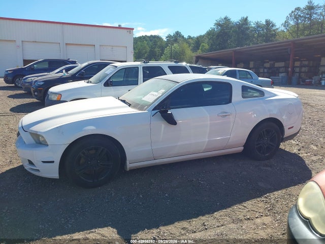 Продаж на аукціоні авто 2013 Ford Mustang V6, vin: 1ZVBP8AMXD5232132, номер лоту: 45956252