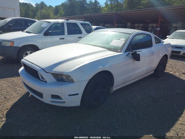 Продаж на аукціоні авто 2013 Ford Mustang V6, vin: 1ZVBP8AMXD5232132, номер лоту: 45956252
