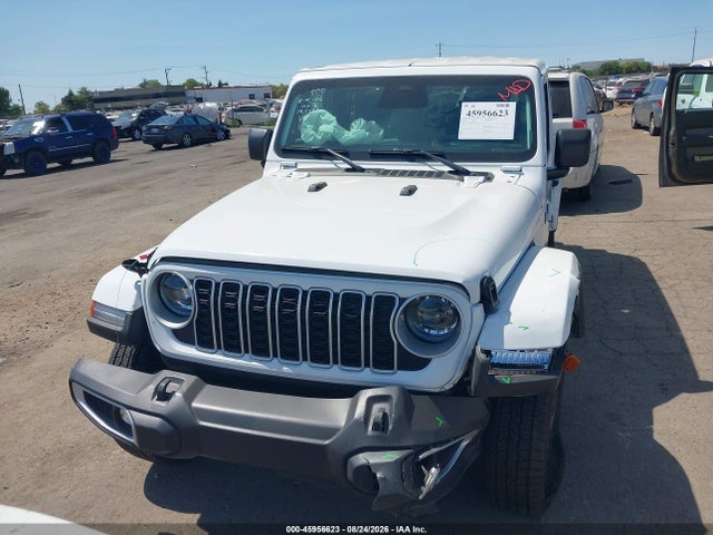 Aukcja sprzedaży 2025 Jeep Wrangler 4-door Sahara 4x4, vin: 1C4PJXEN0SW597904, numer aukcji: 45956623