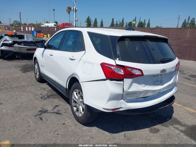 Chevrolet EQUINOX LS 2019 2GNAXHEV5K6109218 Image 3