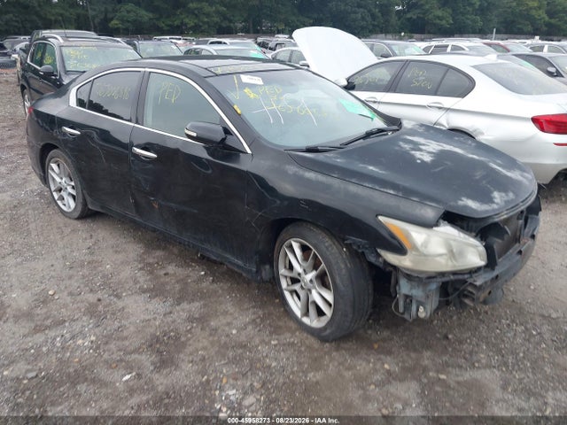 Продажа на аукционе авто 2010 Nissan Maxima 3.5 Sv, vin: 1N4AA5APXAC834356, номер лота: 45958273