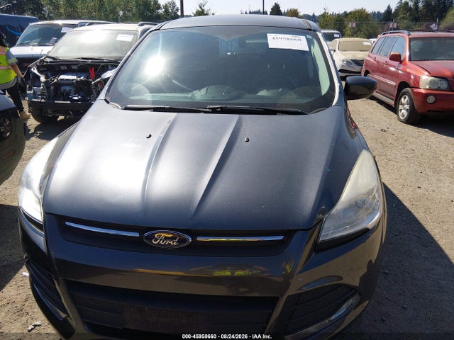 Ford ESCAPE SE 2015 1FMCU0G75FUA79764 Image 6
