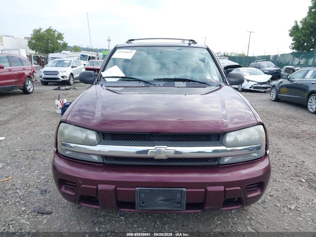 Продаж на аукціоні авто 2007 Chevrolet Trailblazer Ls, vin: 1GNDT13S372299484, номер лоту: 45959051